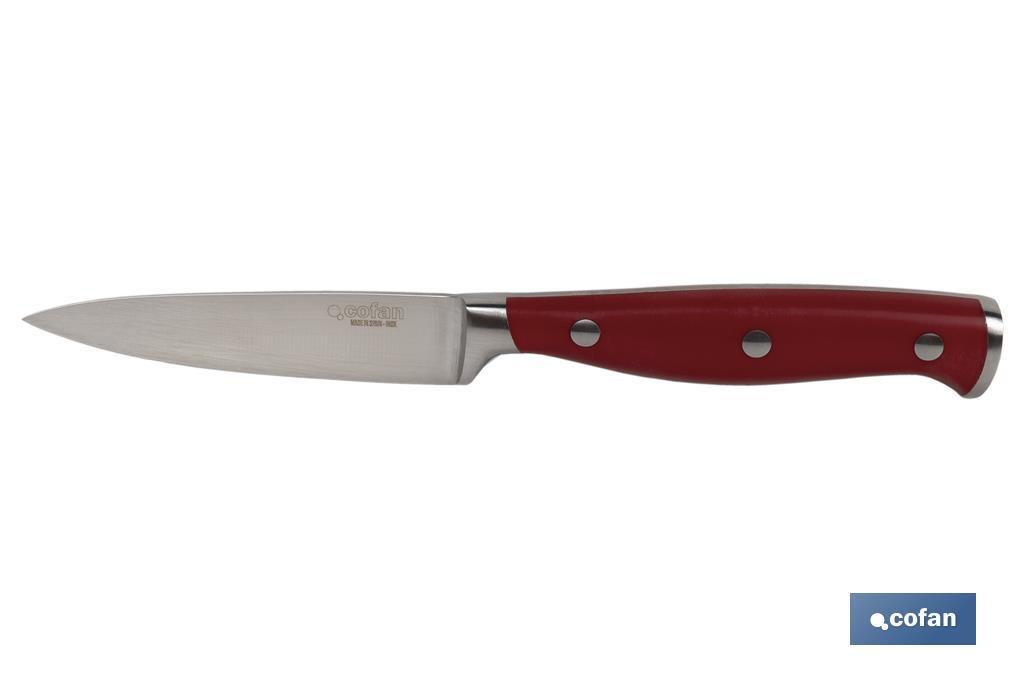 CUCHILLO PUNTILLA COCINERO HOJA 9cm MODELO AGUACEJO ROJO (PACK: 1 UDS)