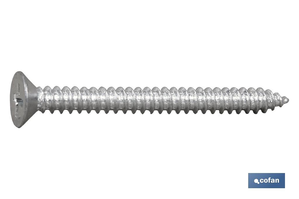 Tornillo Roscachapa Cabeza Avellanada Phillips Zincado